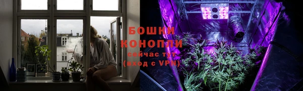 мяу мяу кристалл Переславль-Залесский