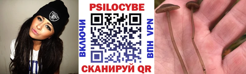 Галлюциногенные грибы MAGIC MUSHROOMS  магазин    Рудня 